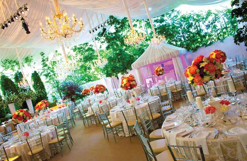 Fantasy Hollywood Wedding Theme