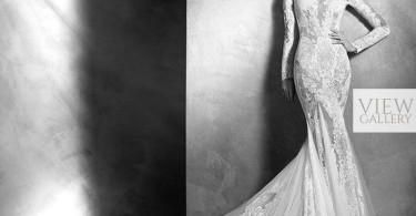 2016 Pronovias Atelier Wedding Dresses