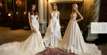 Berta Fall/Winter 2016 Wedding Dresses