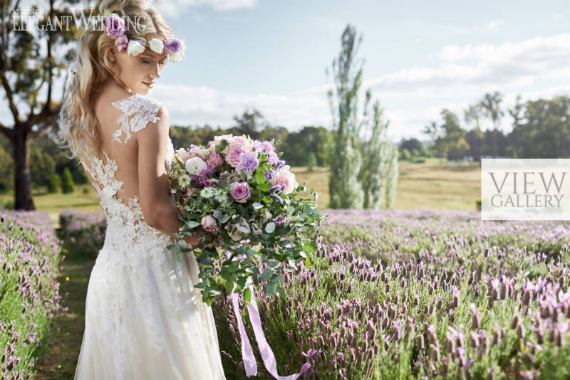 Lavender Picnic Wedding Theme