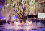 Enchanted Forest Wedding