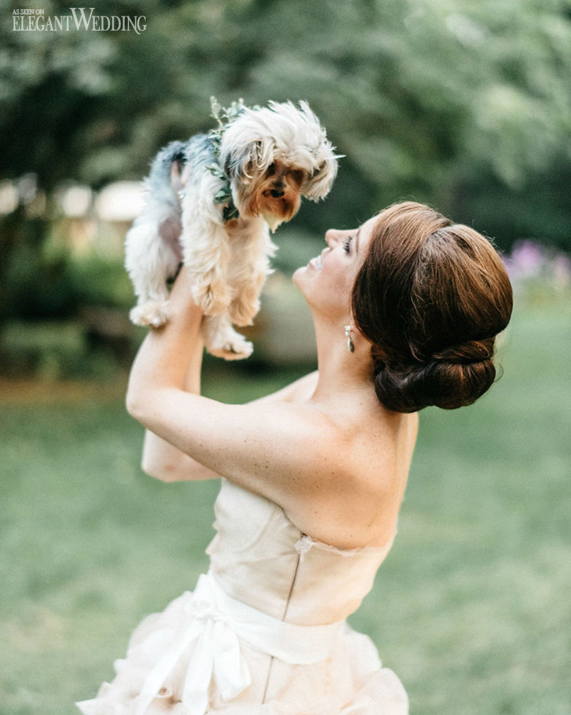 26 Times Animals in Weddings Melted Our Hearts