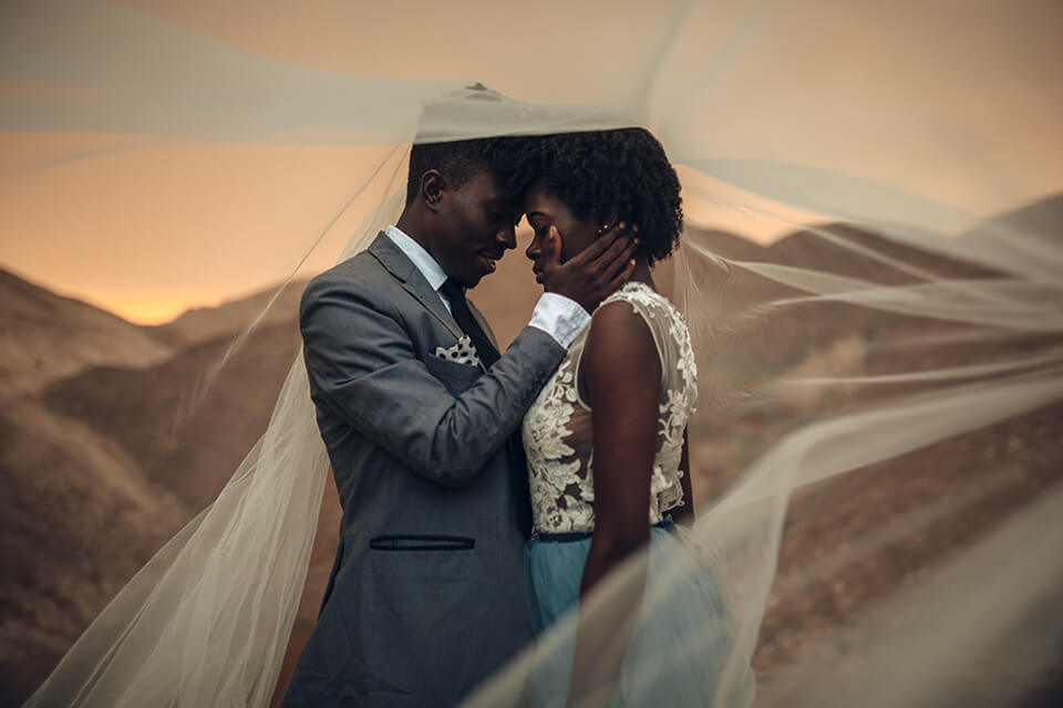 wedding photo ideas veil vibes