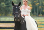 equestrian wedding theme