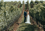 vineyard wedding