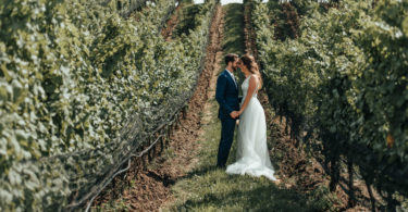 vineyard wedding