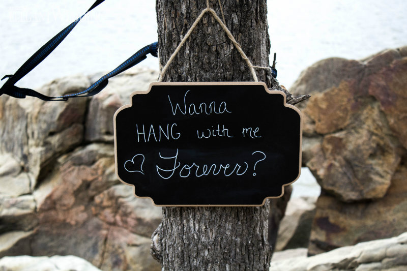 wedding proposal using nature as your backdrop signs