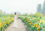 beautiful bride in a sunflower wedding theme