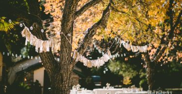 garden wedding trends