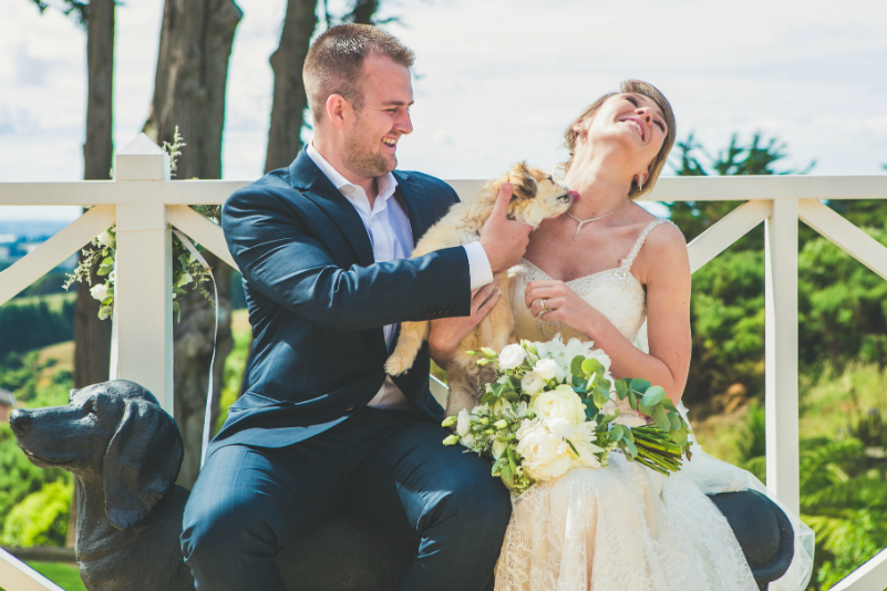 fun dog at your wedding