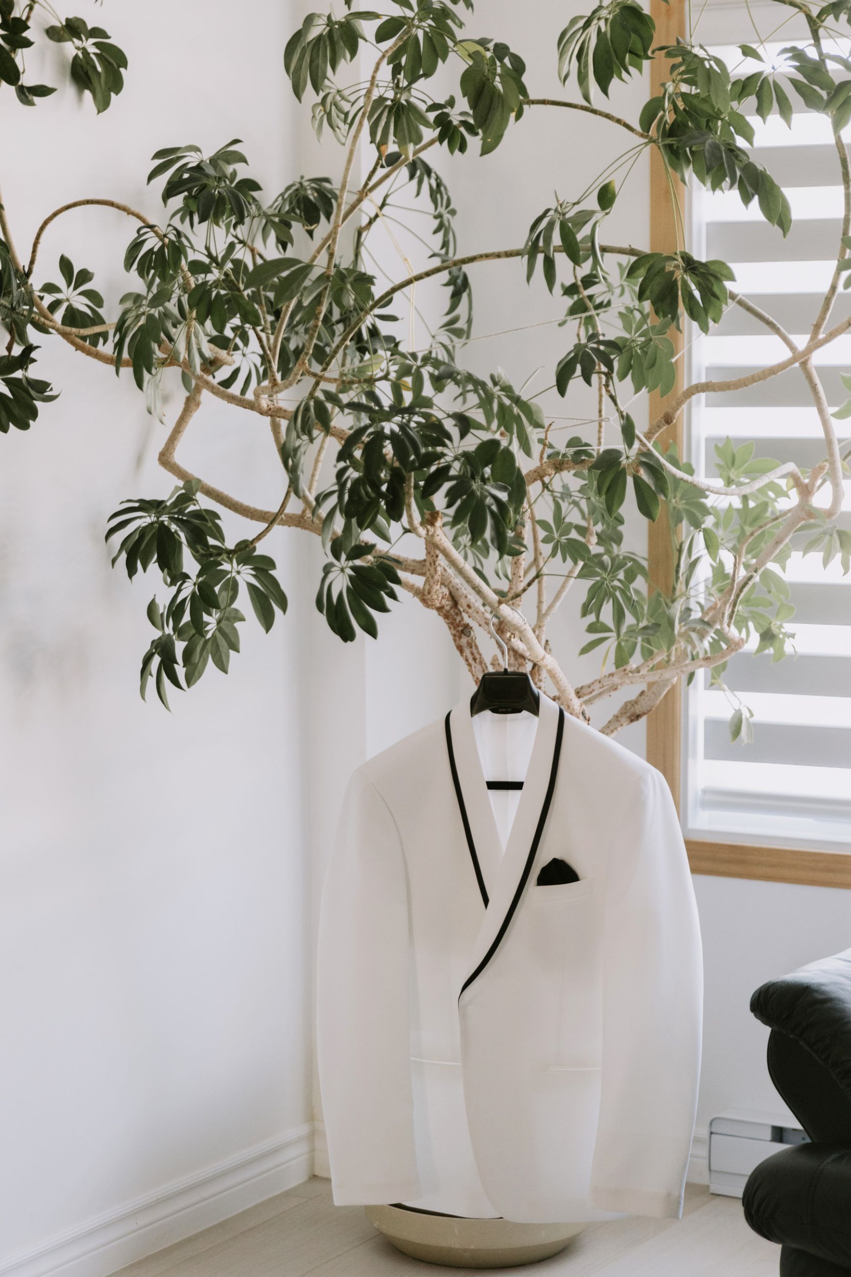 franca sorrenti photography groom white suit