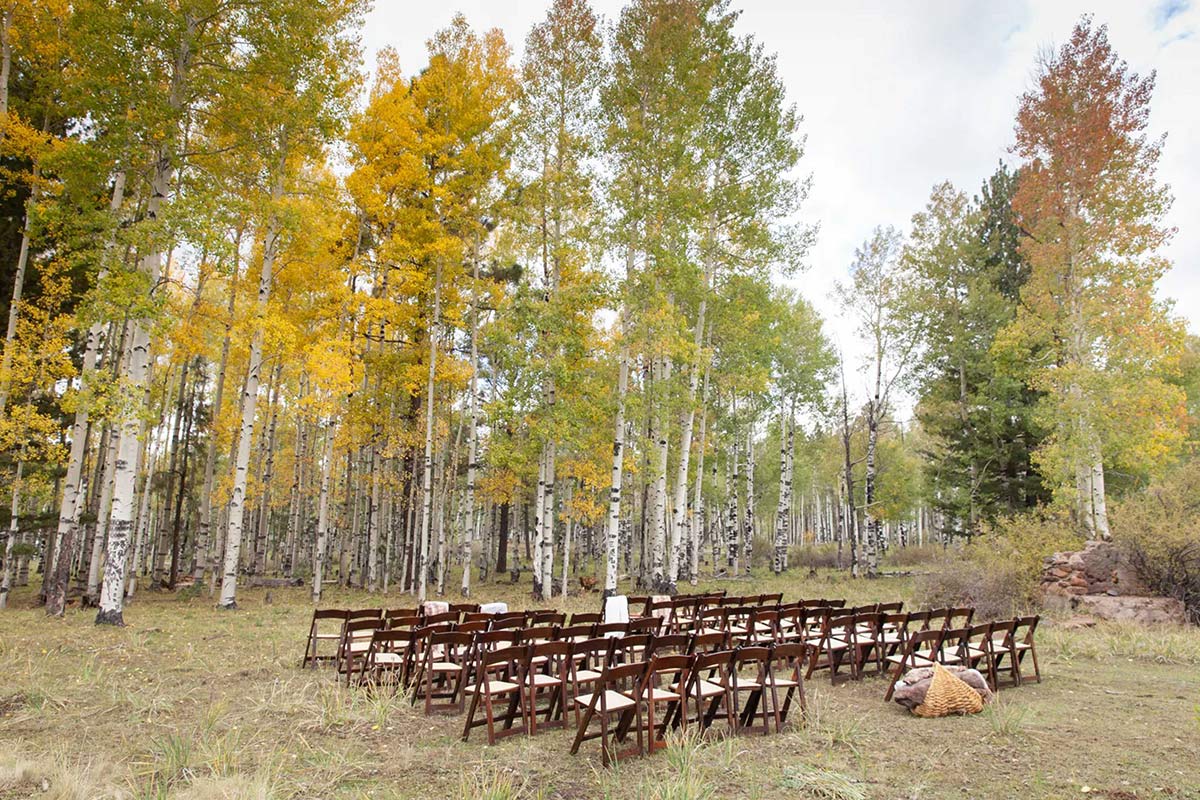 flagstaff wedding ceremony, wedding ceremony in the woods