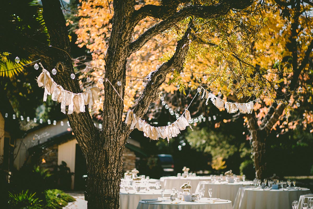 backyard wedding planning as a student